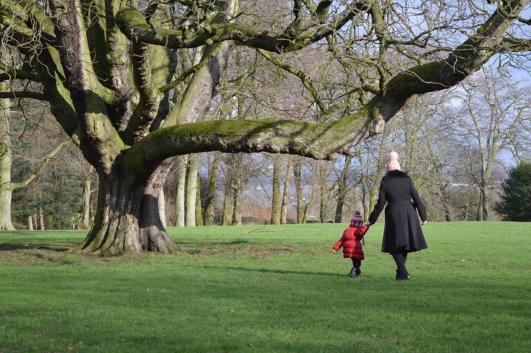 Foster-Fostering-Large-Tree-Walk